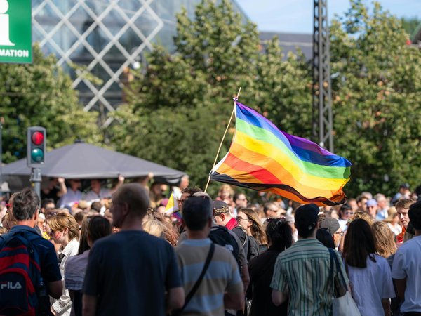 Évaluation de mappy : les points forts et faibles révélés