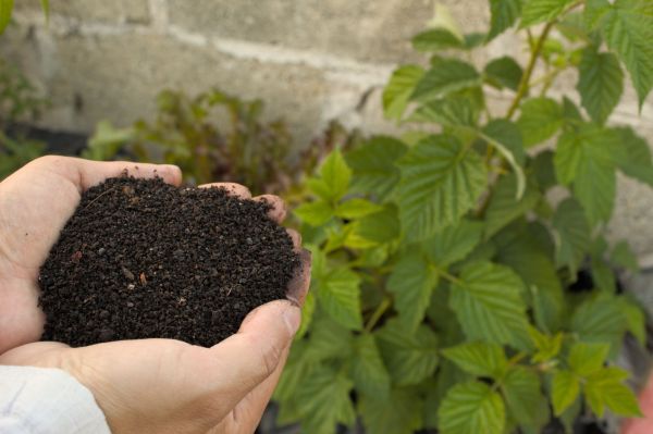 Fabriquez Votre Compost Maison pour une Permaculture Abondante et Durable