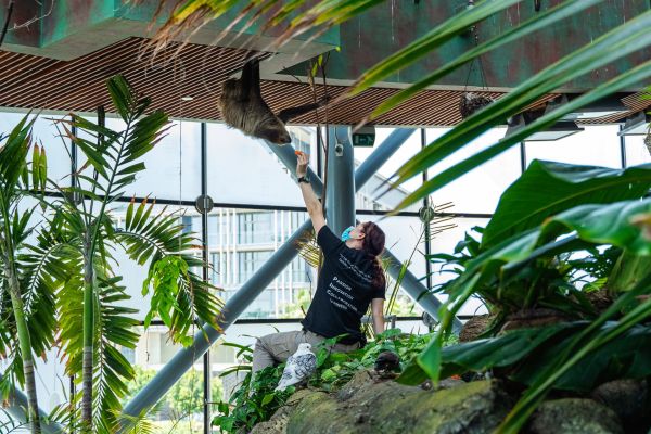 Les Entreprises Innovantes Engagées dans la Sauvegarde Animale