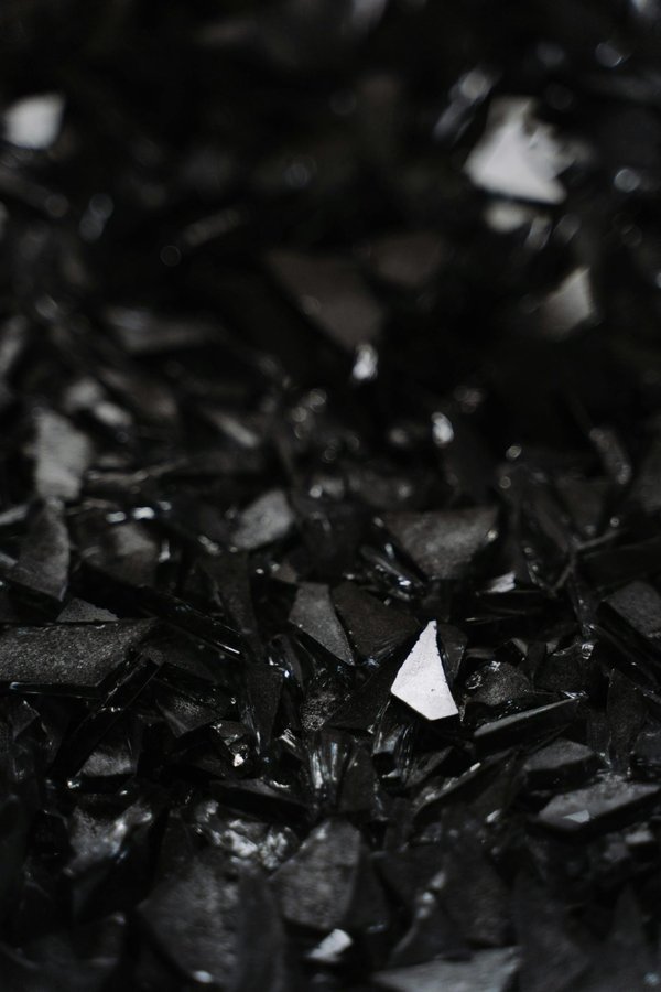 Marques de shilajit : les incontournables pour 2025